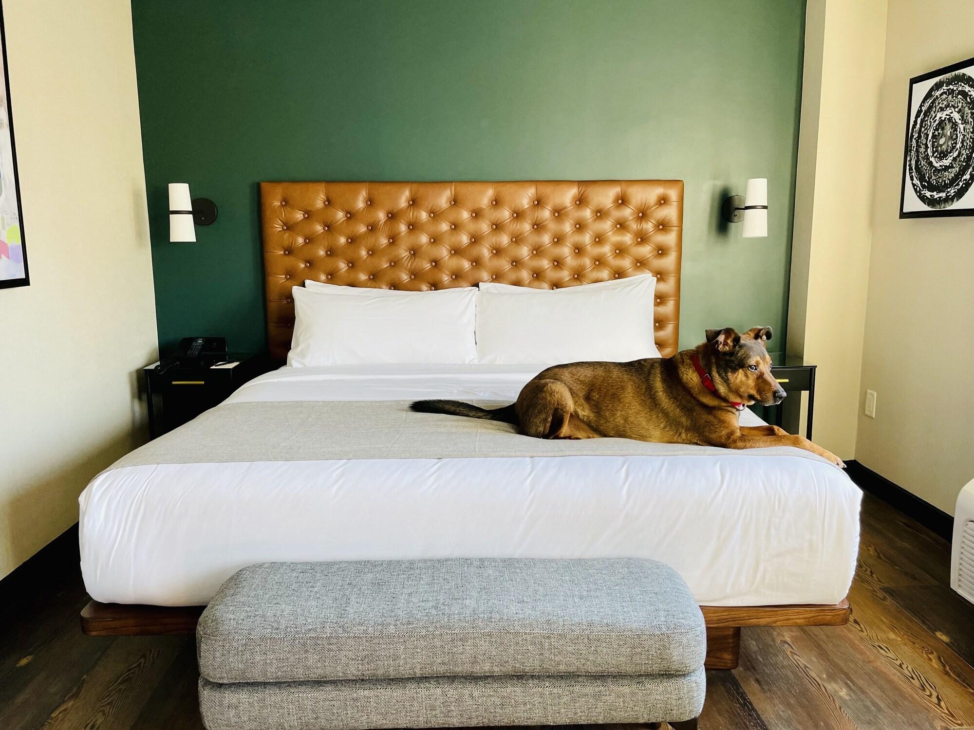 The Lloyd Stamford, Tapestry Collection By Hilton Hotell Eksteriør bilde